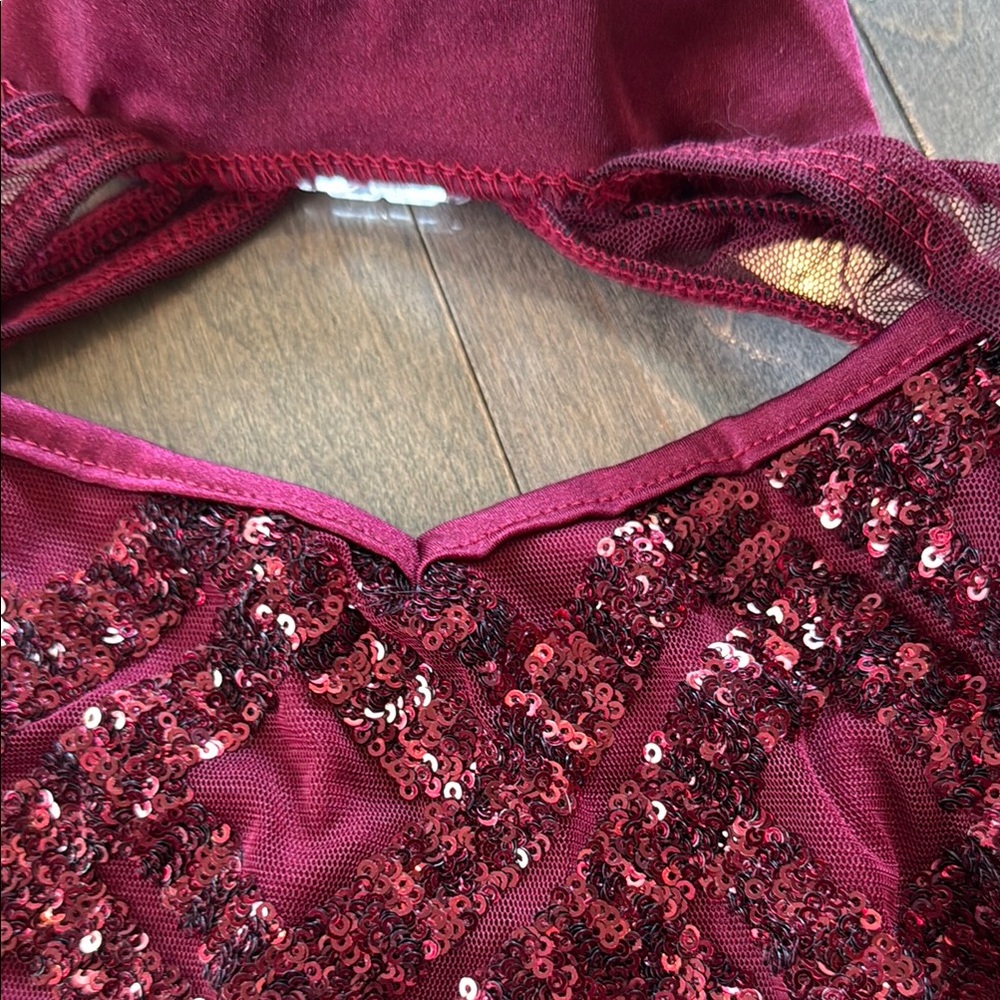 Set of 2 Dance Costumes- Burgundy Sequin Bodysuits - Picture 5 of 10